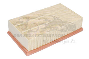165466515R Luftfilter Renault