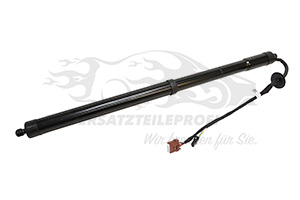Heckklappendämpfer Renault 904524541R