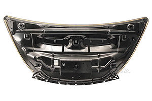 651009669R Motorhaube (NEX) Renault