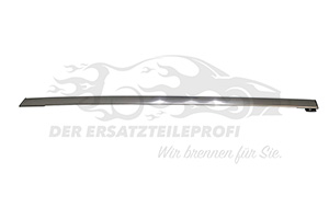 Fensterdichtung (Seitenscheibe) Beifahrerseite