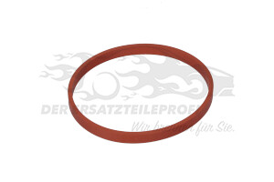Dichtung (O-Ring)