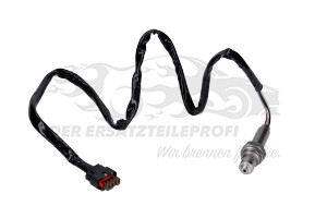 Stickoxid-Sonde / NOx-Sonde, Diagnosesonde