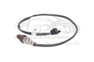 2542645 Lambdasonde Ford