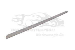 Zierleiste Tür vorne links lackierbar