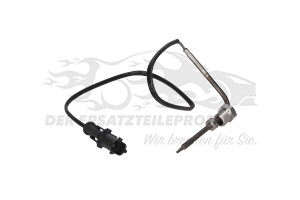Temperatursensor Abgasdruck