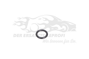 O-Ring für Servopumpe /-leitung