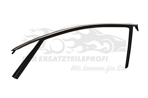 Fensterdichtung (Seitenscheibe) Fahrerseite vorne