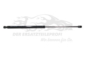 Heckklappendämpfer beidseitig