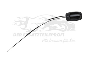1650900780 Türgriff Schiebetür aussen Citroen