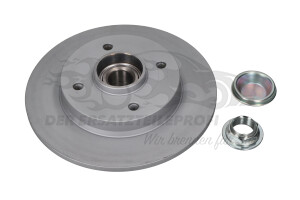 Bremsscheibe hinten 244x9