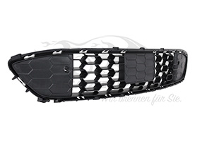 2548293 GRILL - STOSSFAENGER Ford