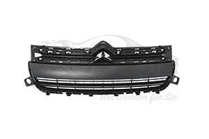 16800260XT Kühlergitter Citroen