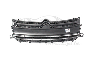 16800260XT Kühlergitter Citroen
