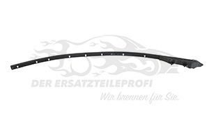 808311908R Türdichtung Vordertür links unten Renault