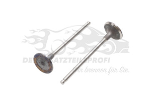 Einlassventil 9801960980