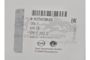 52503038 Einspritzventil Opel