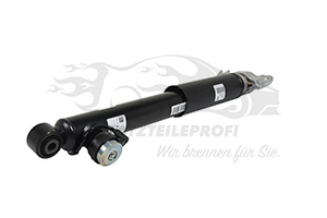 22834094 Stoßdämpfer hinten rechts Opel
