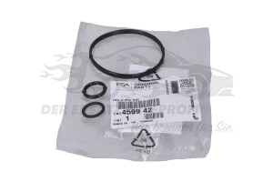 Dichtungssatz, Vacuumpumpe Sys.Wabco France