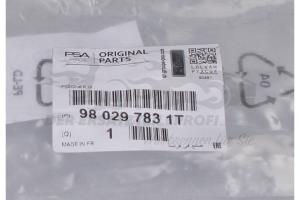 980297831T Türgriff links aussen Citroen