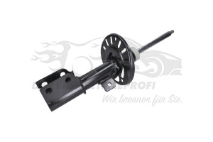 9821596680 Stoßdämpfer vorne Citroen