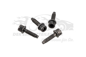 Inbusschraube mit Scheibe M6x25 (VPE 4)