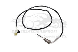 Abgastemperatursonde hinter FAP-Filter