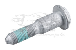 7703002877 Schraube oben am Querlenker Renault