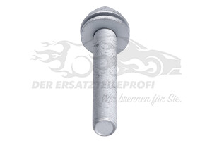 7703102108 Schraube oben am Querlenker Renault