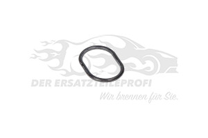 Ölwannendichtung (O - Ring)