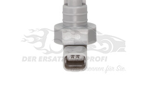 289110002R Waschwasserstandssensor Renault