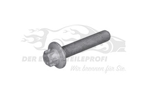 Schraube Kurbelwellenriemenscheibe (VPE 5)