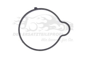 55565619 Dichtung Thermostat Opel