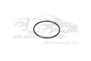 Dichtung Thermostat
