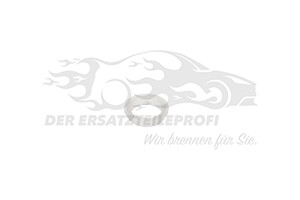15161630 Sicherungsring Einparksensor Opel