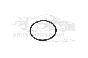 Ringdichtung, Kraftststoffpumpe