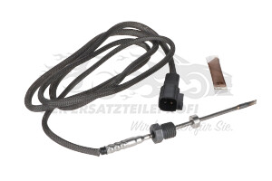 Abgastemperatursensor Katalysator