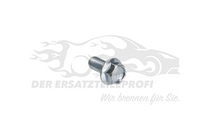 Schraube für Halter Bremssattel hinten