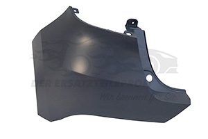 Blende für Stoßstange Renault 850173301R