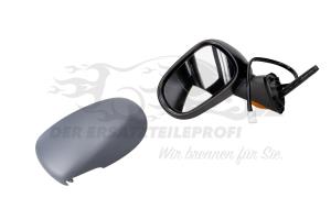 7701065901 Aussenspiegel links 