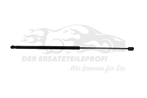 Heckklappendämpfer