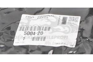 500420 Fahrwerksfeder vorne Citroen