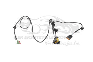 Kabelbaum Renault 7701070058