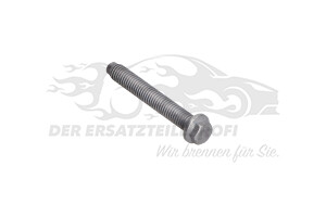 Schraube für Spannrolle (VPE 10)