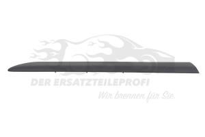 Zierleiste hinten links grau