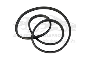 Türdichtung Dacia 808329324R
