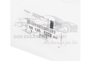 9812585580 Rückfahrkamera Citroen