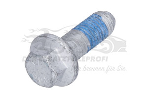 1487793 Schraube M10x30mm 