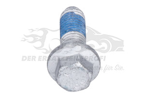 1487793 Schraube M10x30mm 