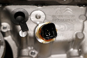 1675873780 Komplettmotor Citroen / Peugeot / Opel