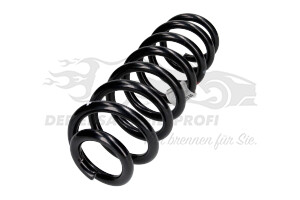 550205576R Fahrwerksfeder hinten Renault